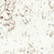 See color option for 2' x 6' 7 Monte Carlo Runner Rug