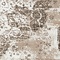 See color option for 8' x 10' Monaco Rug