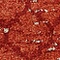 See color option for 2' x 6' Lattice Runner Rug