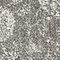 See color option for 2' 2 x 6' Heritage Runner Rug