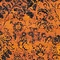 See color option for 13' x 19' 8 Ankara Rug