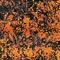 See color option for 4' x 6' Ankara Rug