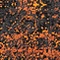 See color option for 3' x 9' 10 Ankara Runner Rug
