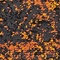See color option for 2' x 3' Ankara Rug