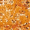 See color option for 2' x 6' Ankara Runner Rug