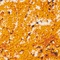 See color option for 2' x 3' Ankara Rug