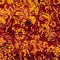 See color option for 5' x 8' Ankara Rug