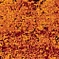 See color option for 3' x 9' 10 Ankara Runner Rug