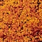 See color option for 2' x 6' Ankara Runner Rug