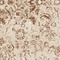 Link to variation of this rug: SKU#3134647