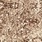 Link to variation of this rug: SKU#3134695