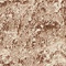 Link to variation of this rug: SKU#3134705