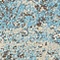 Link to variation of this rug: SKU#3134649