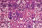 Unique Loom 2' x 6' Imperial Runner Rug thumbnail image 7