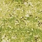 Link to variation of this rug: SKU#3134649