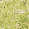Link to variation of this rug: SKU#3134695