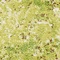 See color option for 2' x 3' Ankara Rug