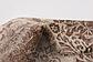 10' x 13' Himalaya Rug thumbnail