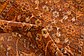 Unique Loom 3' x 9' 10 Imperial Runner Rug thumbnail image 13