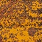 See color option for 4' x 6' Ankara Rug