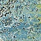 See color option for 3' x 9' 10 Ankara Runner Rug