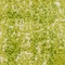 See color option for 2' x 3' Ankara Rug