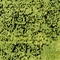 See color option for 2' x 3' Ankara Rug