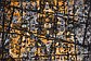 Unique Loom 2' x 3' Imperial Rug thumbnail image 6