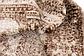 8' x 11' 6 Istanbul Rug thumbnail