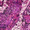 See color option for 4' x 6' Ankara Rug
