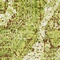 See color option for 4' x 6' Ankara Rug