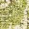 See color option for 2' x 6' Ankara Runner Rug