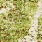 See color option for 2' x 3' Ankara Rug