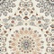 See color option for 8' x 10' Nain Design Rug