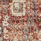 See color option for 155cm x 245cm Arcadia Rug
