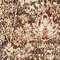 See color option for 152cm x 245cm Arcadia Rug