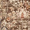 See color option for 122cm x 183cm Arcadia Rug