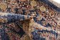 2' 7 x 10' Arcadia Runner Rug thumbnail image 19
