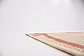 7' x 10' Outdoor Botanical Rug thumbnail image 15