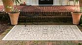 4' x 6' Outdoor Botanical Rug thumbnail