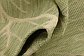 7' x 10' 2 Outdoor Botanical Rug thumbnail image 15