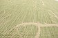 6' x 9' Outdoor Botanical Rug thumbnail image 13