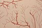 9' x 12' Outdoor Botanical Rug thumbnail image 12