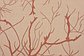 7' x 10' Outdoor Botanical Rug thumbnail image 12