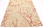 6' x 9' Outdoor Botanical Rug thumbnail image 13