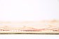 6' x 9' Outdoor Botanical Rug thumbnail image 16