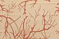 5' x 8' Outdoor Botanical Rug thumbnail image 12
