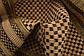 4' x 6' Outdoor Border Rug thumbnail