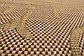 Unique Loom 5' x 8' Outdoor Botanical Rug thumbnail image 12