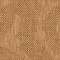 See color option for 7' x 10' Outdoor Botanical Rug